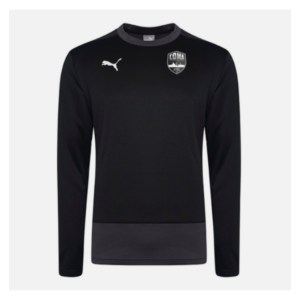 Puma Goal Training Sweat