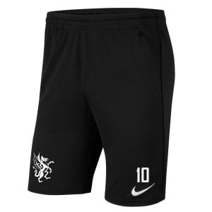 Nike Park 20 Pocketed Shorts (M)