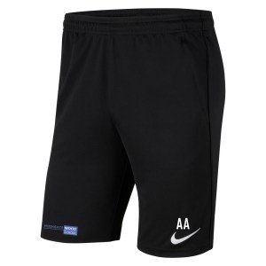 Nike Park 20 Pocketed Shorts (M)