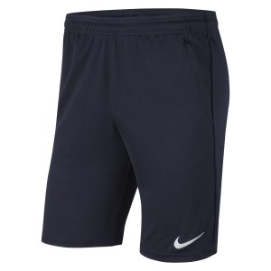 Nike Park 20 Pocketed Shorts (M)