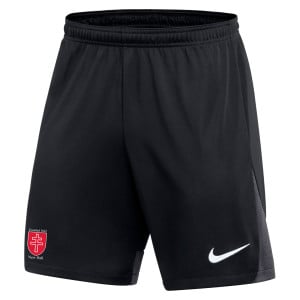 Nike Dri-FIT Academy Pro Shorts