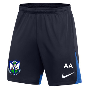 Nike Dri-FIT Academy Pro Shorts