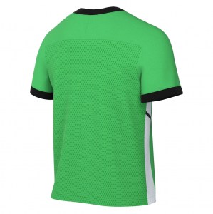 Nike Academy 25 Short-Sleeve Training Top - Green Spark/Lucky Green/White