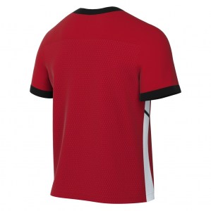 Nike Academy 25 Short-Sleeve Training Top - University Red/Gym Red/White