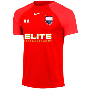 Nike Academy Pro Short Sleeve Tee