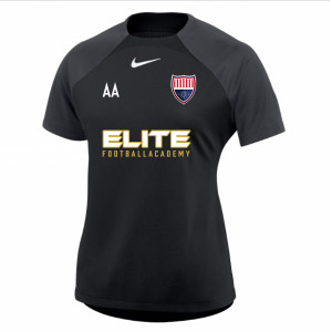 Nike Womens Academy Pro Short Sleeve Tee (W)