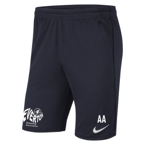 Nike Park 20 Pocketed Shorts (M)