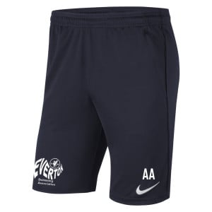 Nike Park 20 Pocketed Shorts (M)
