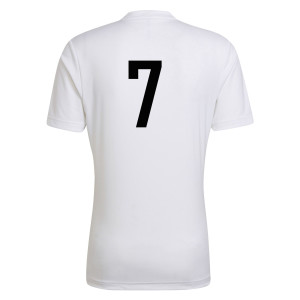 adidas Entrada 22 Short Sleeve Jersey