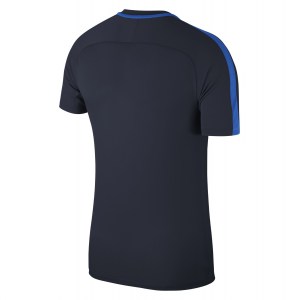 Nike Academy 18 Short Sleeve Top (m)