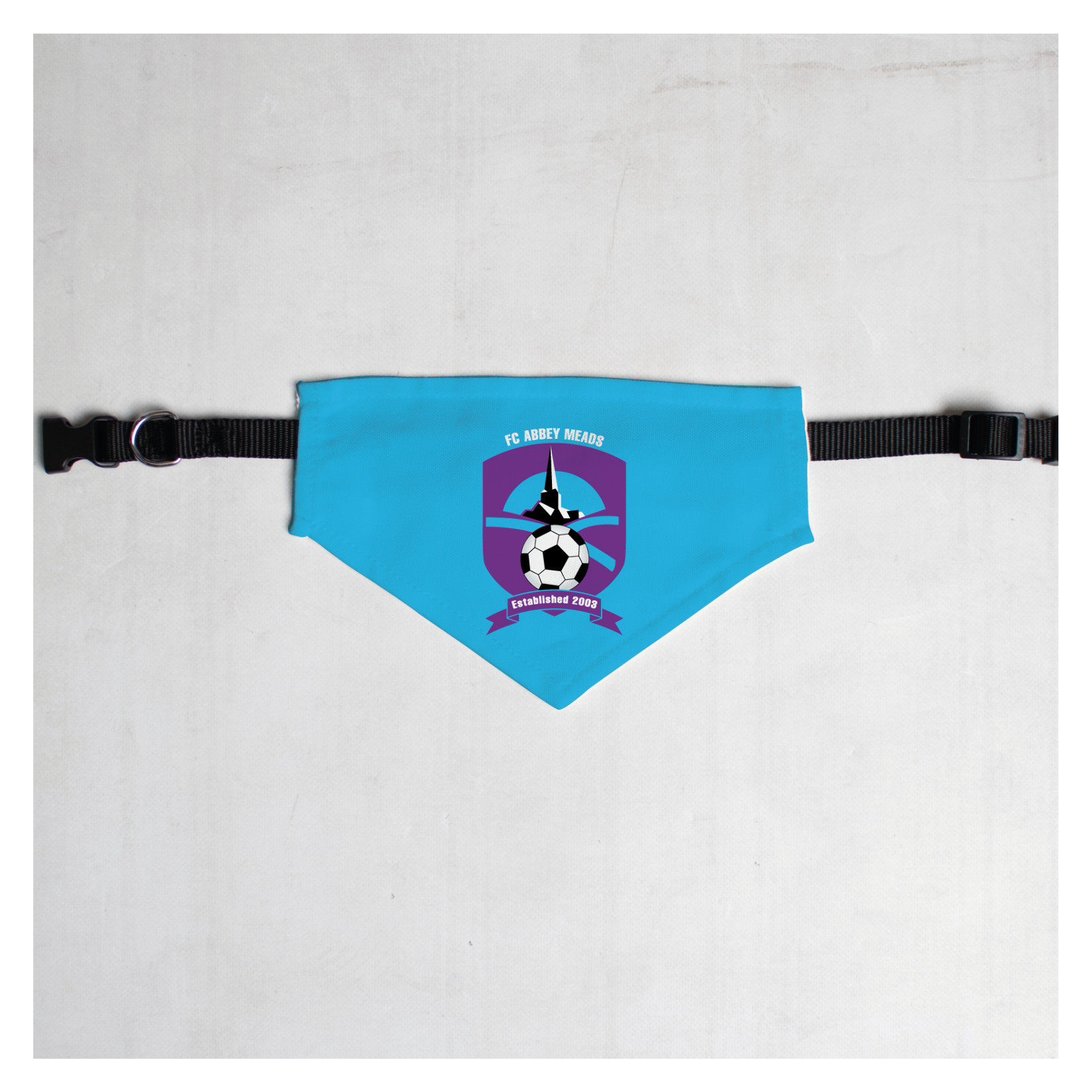 Pet Bandana with Black Collar