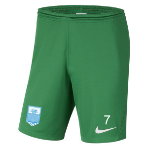 Nike Park III Shorts