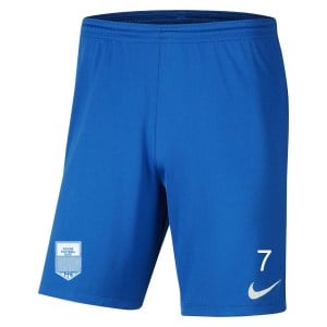Nike Park III Shorts Royal Blue-White