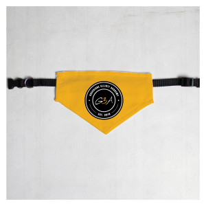 Pet Bandana with Black Collar