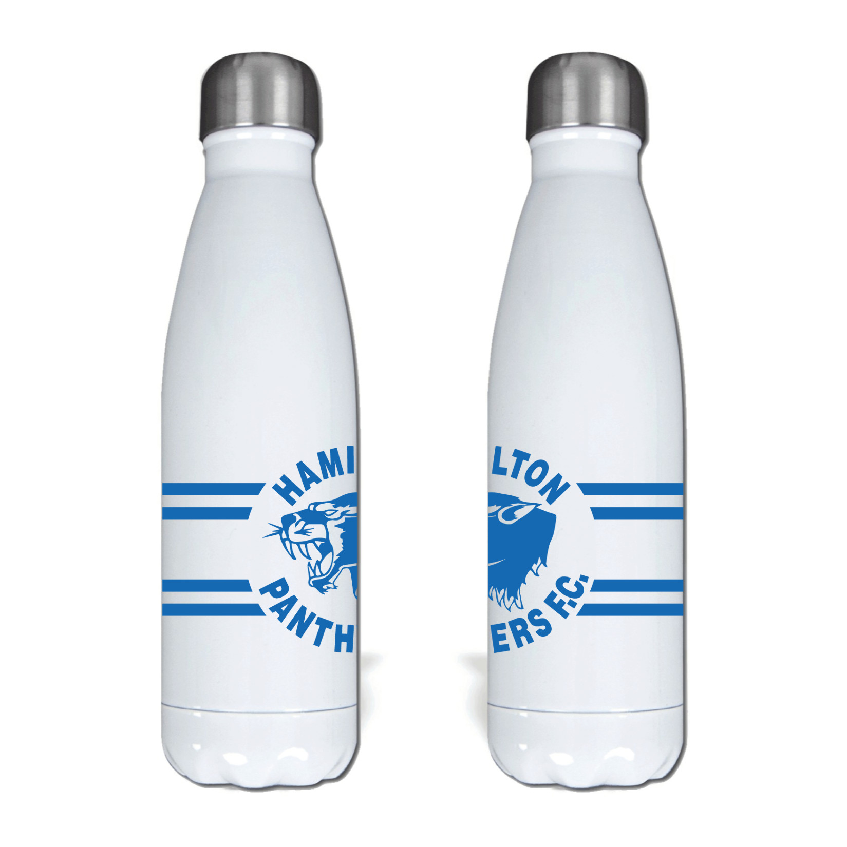 Premium Steel Water Bottle