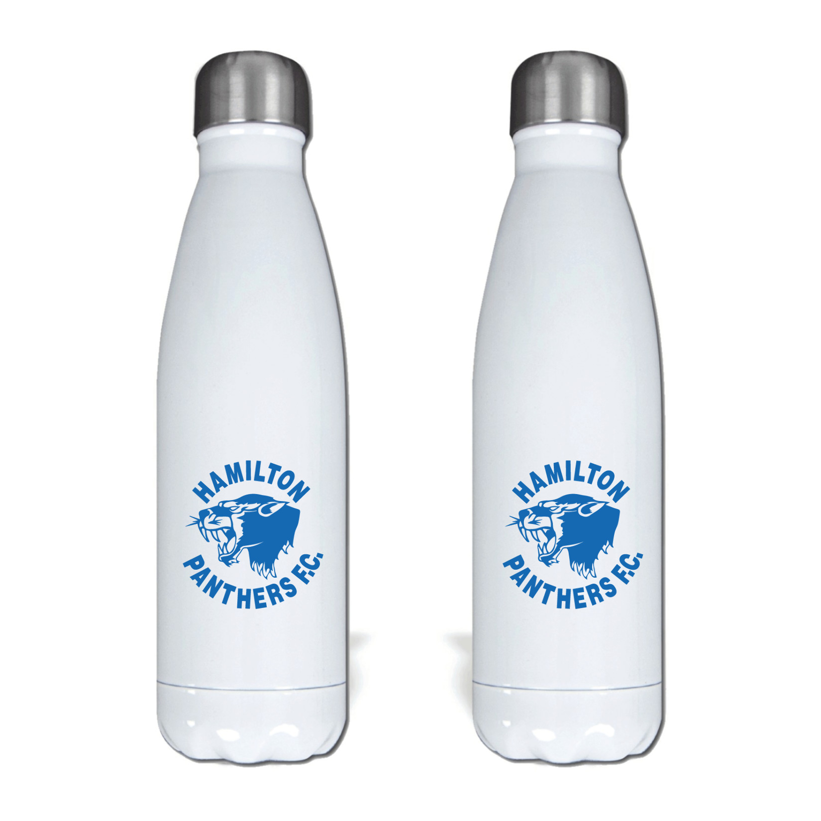 Premium Steel Water Bottle