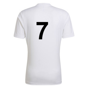 adidas Entrada 22 Short Sleeve Jersey