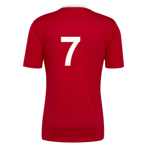 adidas Entrada 22 Short Sleeve Jersey