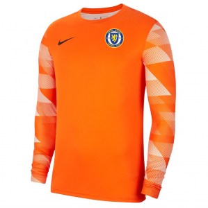Nike Park Iv Goalkeeper Dri-fit Jersey