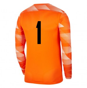 Nike Park Iv Goalkeeper Dri-fit Jersey