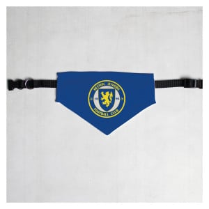 Pet Bandana with Black Collar