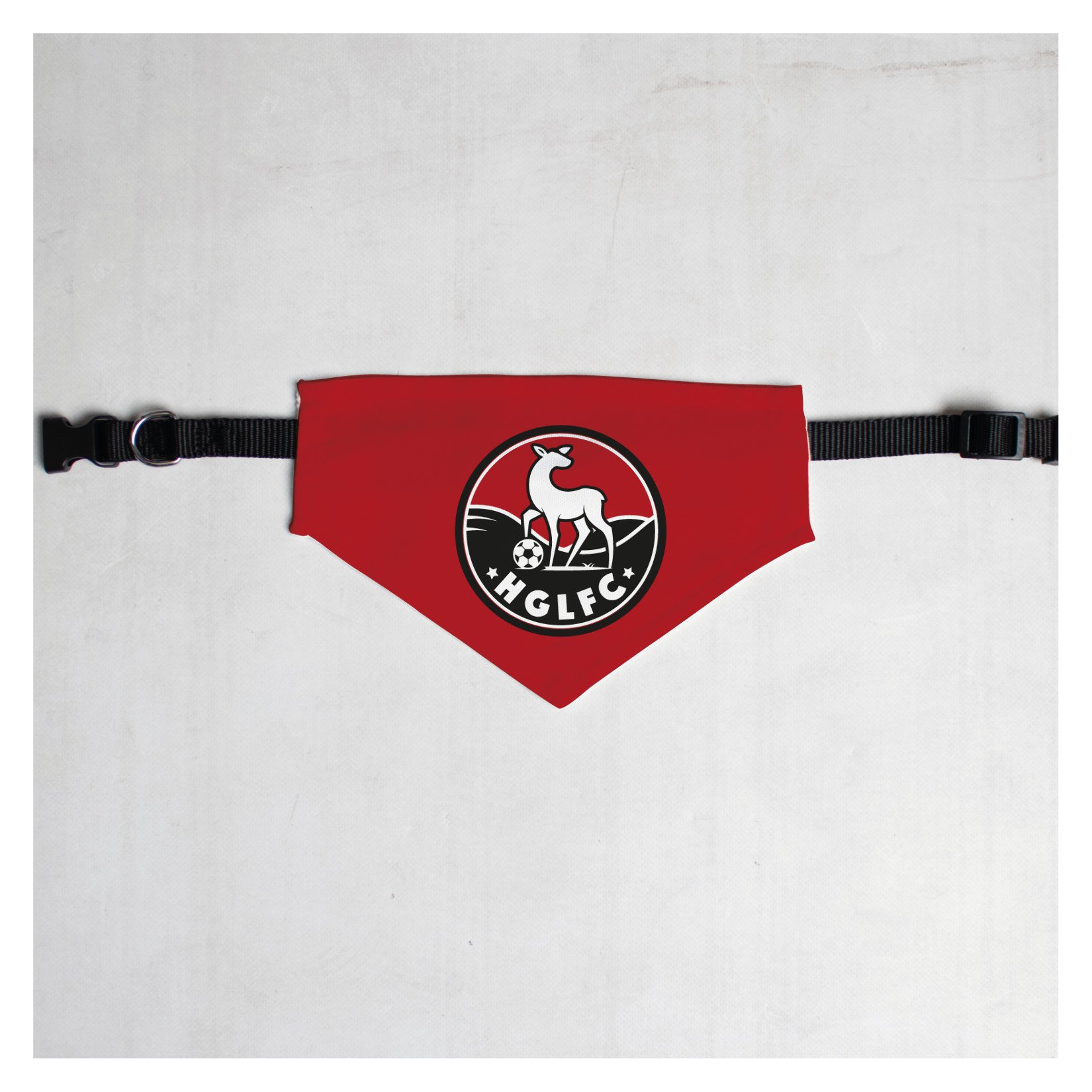 Pet Bandana with Black Collar