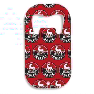 Metal Bottle Opener Keyring
