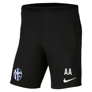 Nike Park III Shorts