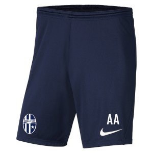 Nike Park III Shorts