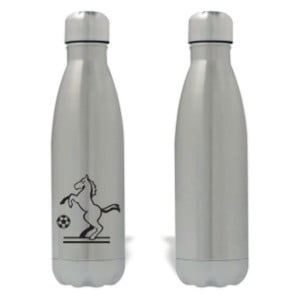 Premium Steel Water Bottle