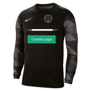 Nike Park IV Goalkeeper Dri-FIT Jersey