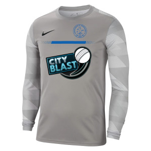 Nike Park IV Goalkeeper Dri-FIT Jersey