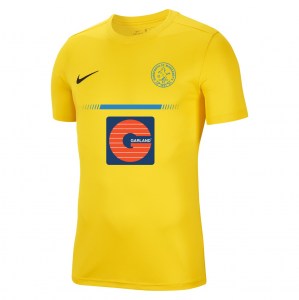 Nike Park VII Dri-FIT Short Sleeve Shirt - Tour Yellow/Black