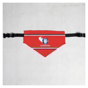 Pet Bandana with Black Collar