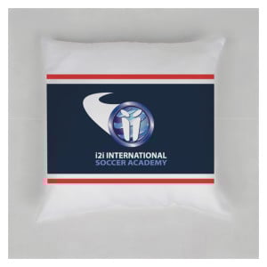 Cushion