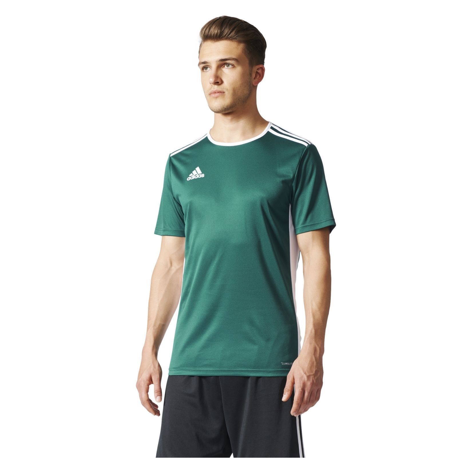 adidas Entrada 18 Short Sleeve Shirt