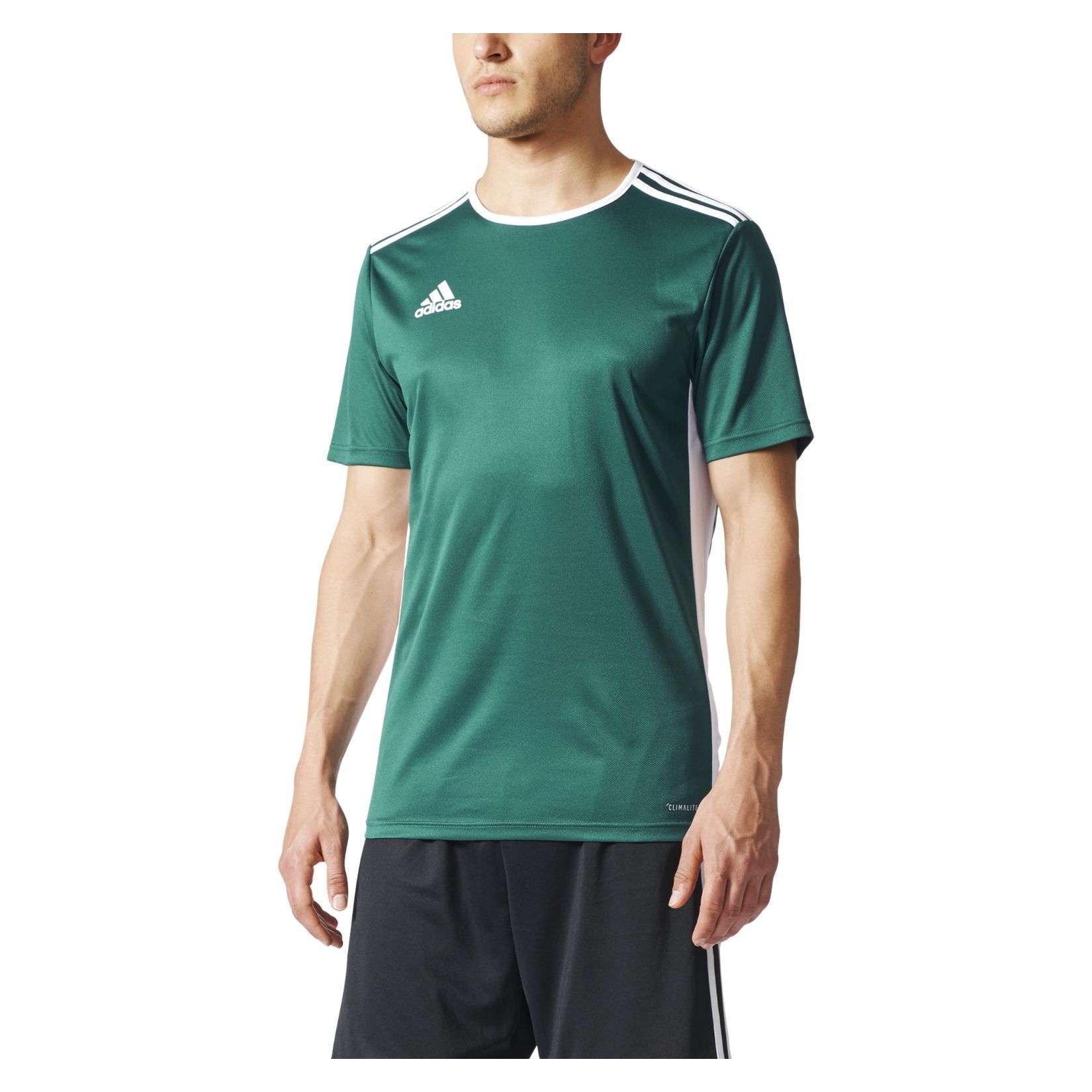 adidas entrada 18 ss jersey