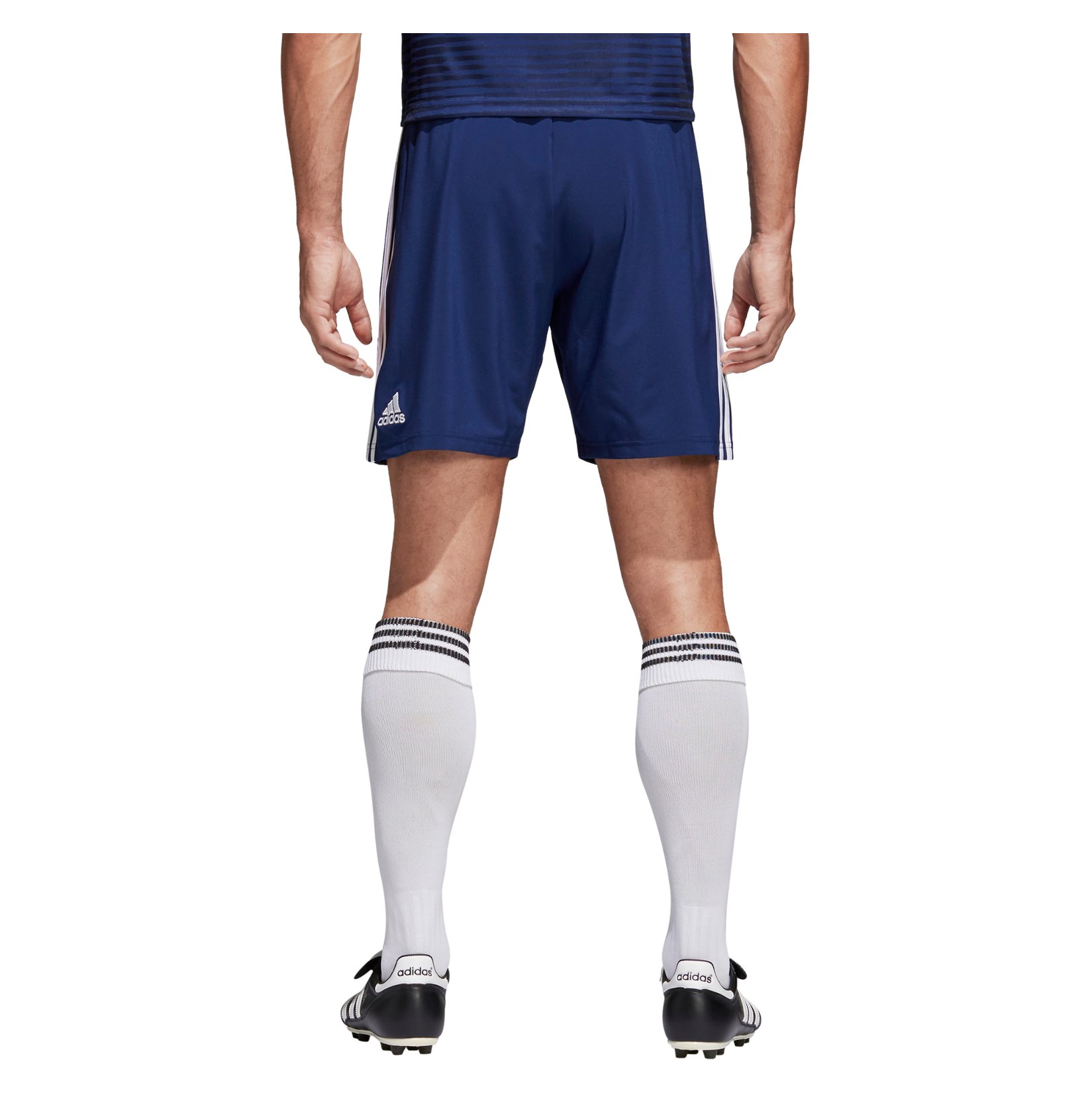 Tentakel gesloten Afleiden adidas Condivo 18 Shorts - Kitlocker.com