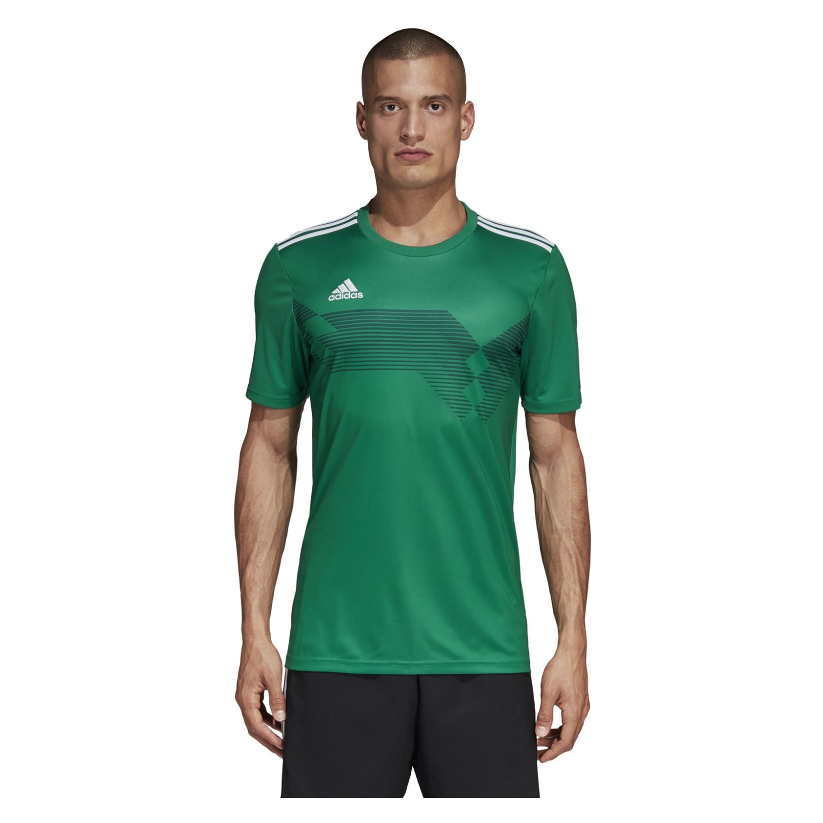 adidas campeon 19 short sleeve shirt