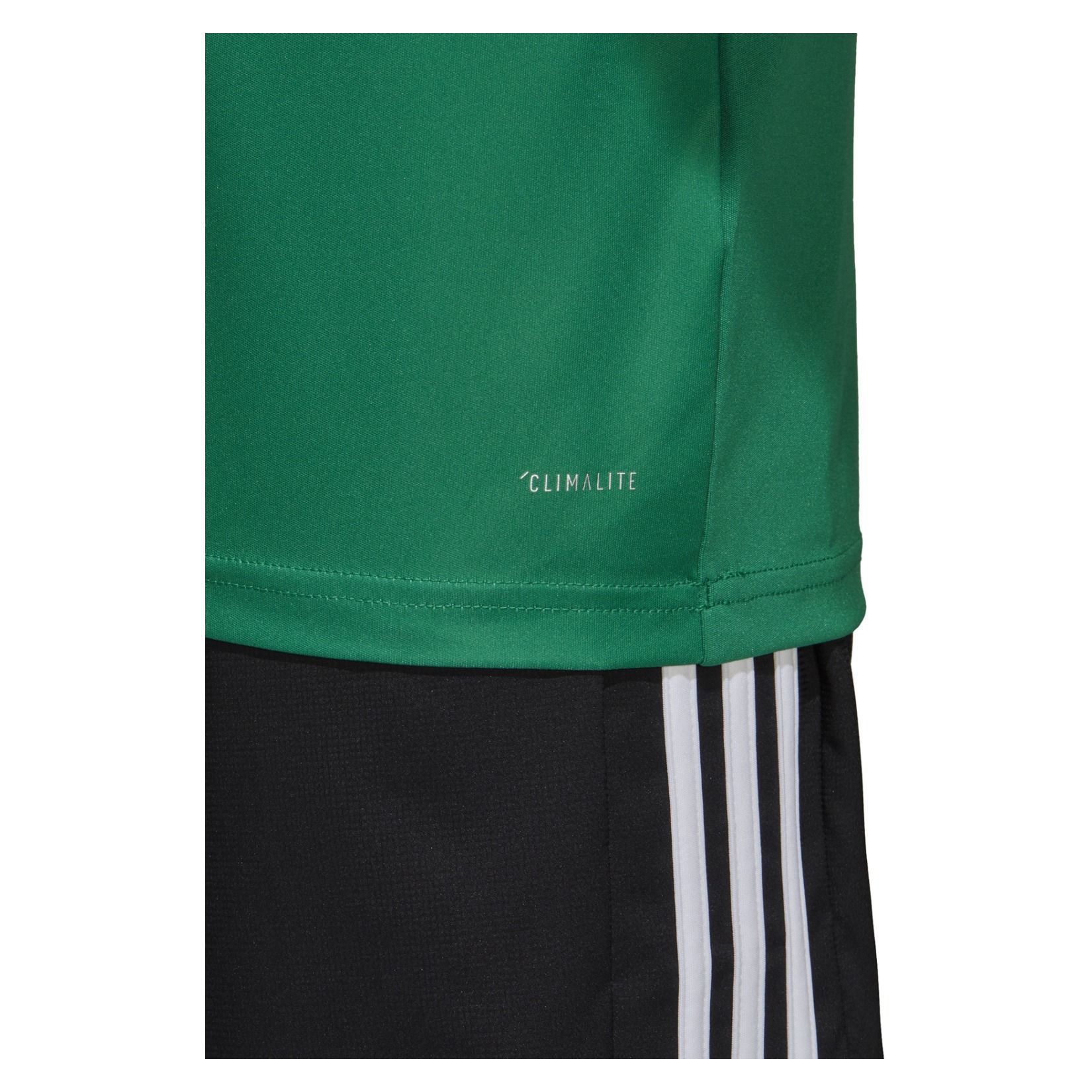adidas campeon 19 short sleeve shirt