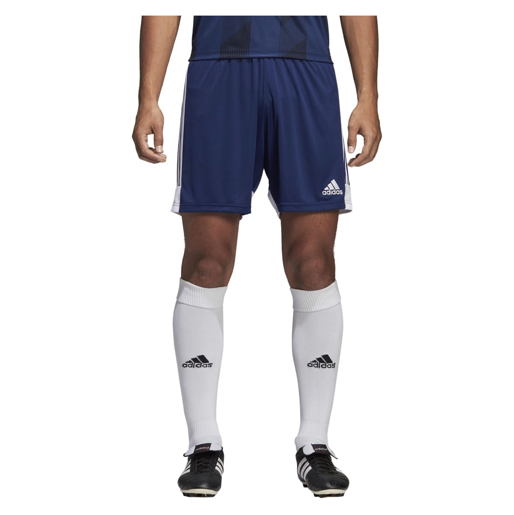 adidas Tastigo 19 Shorts