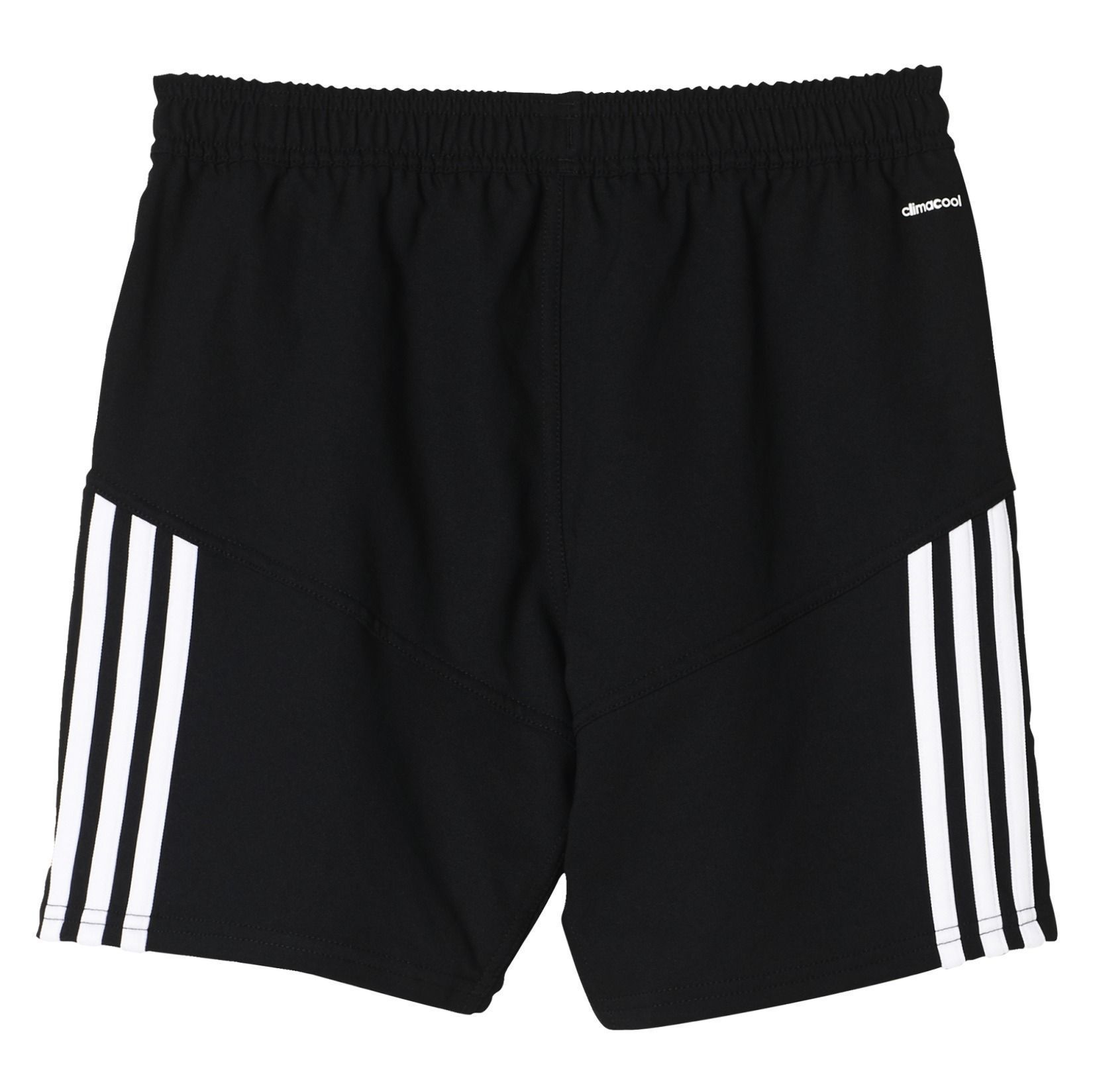 adidas rugby shorts