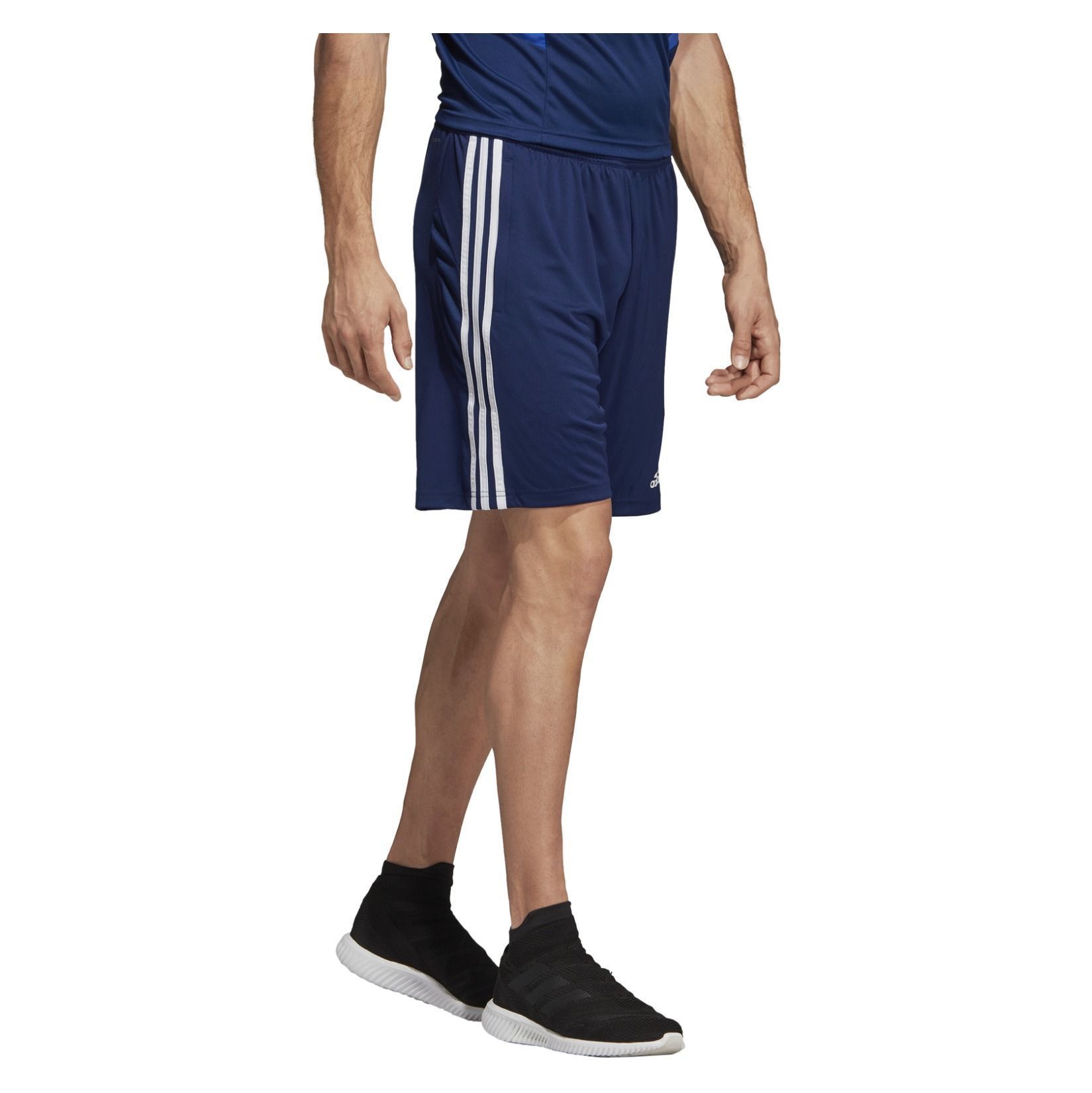 tiro 19 training shorts