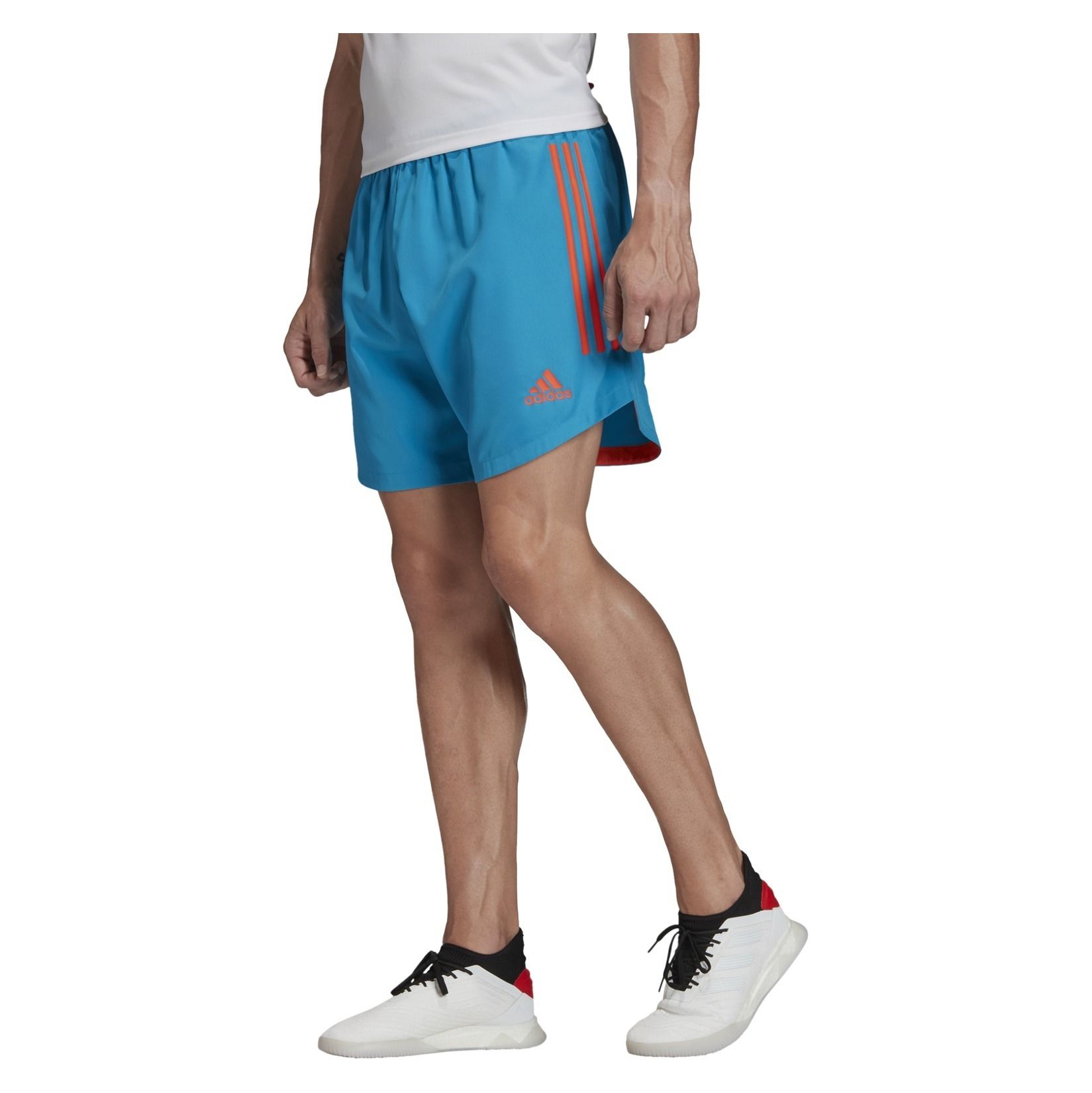 adidas women's rugby shorts