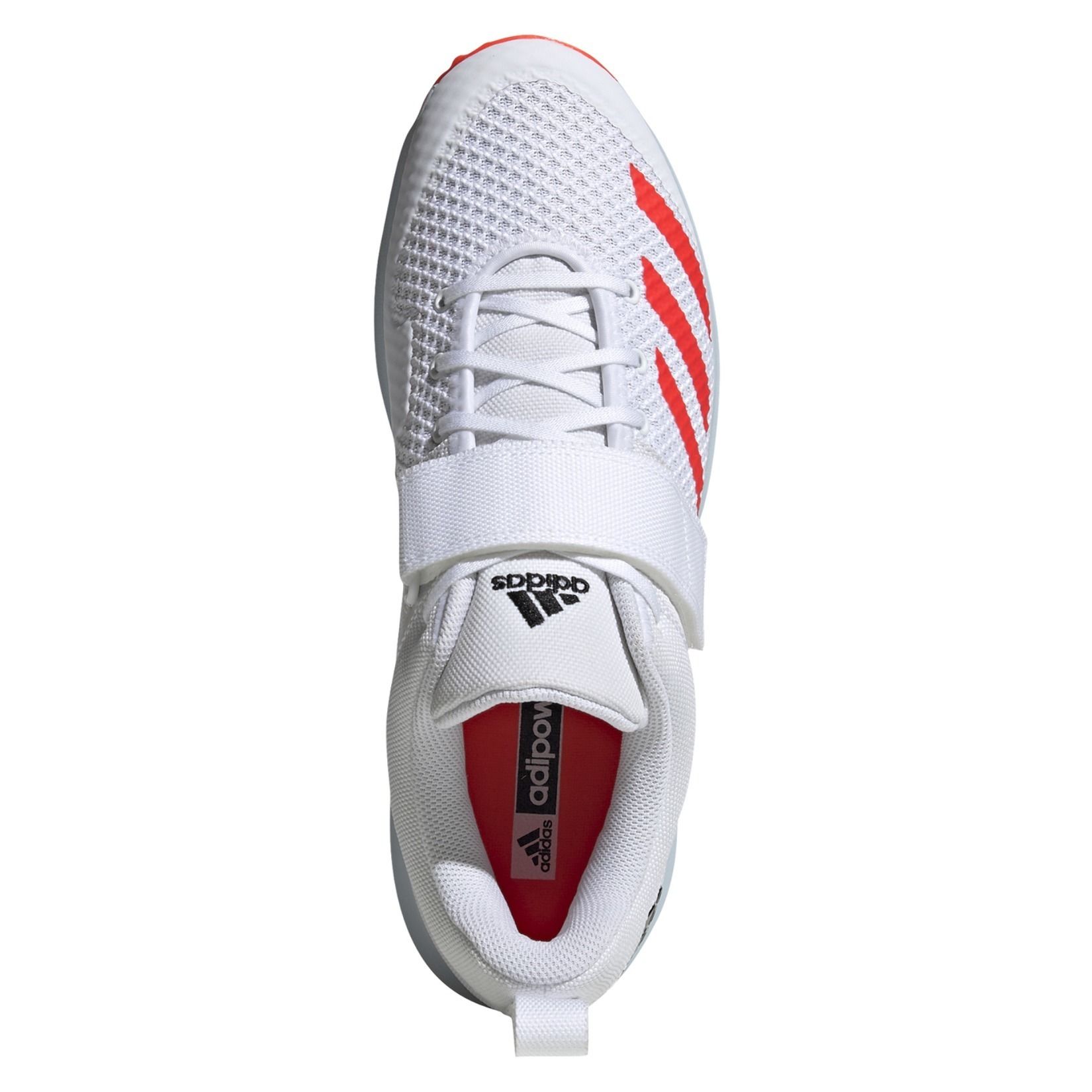adidas adipower vector cricket shoes