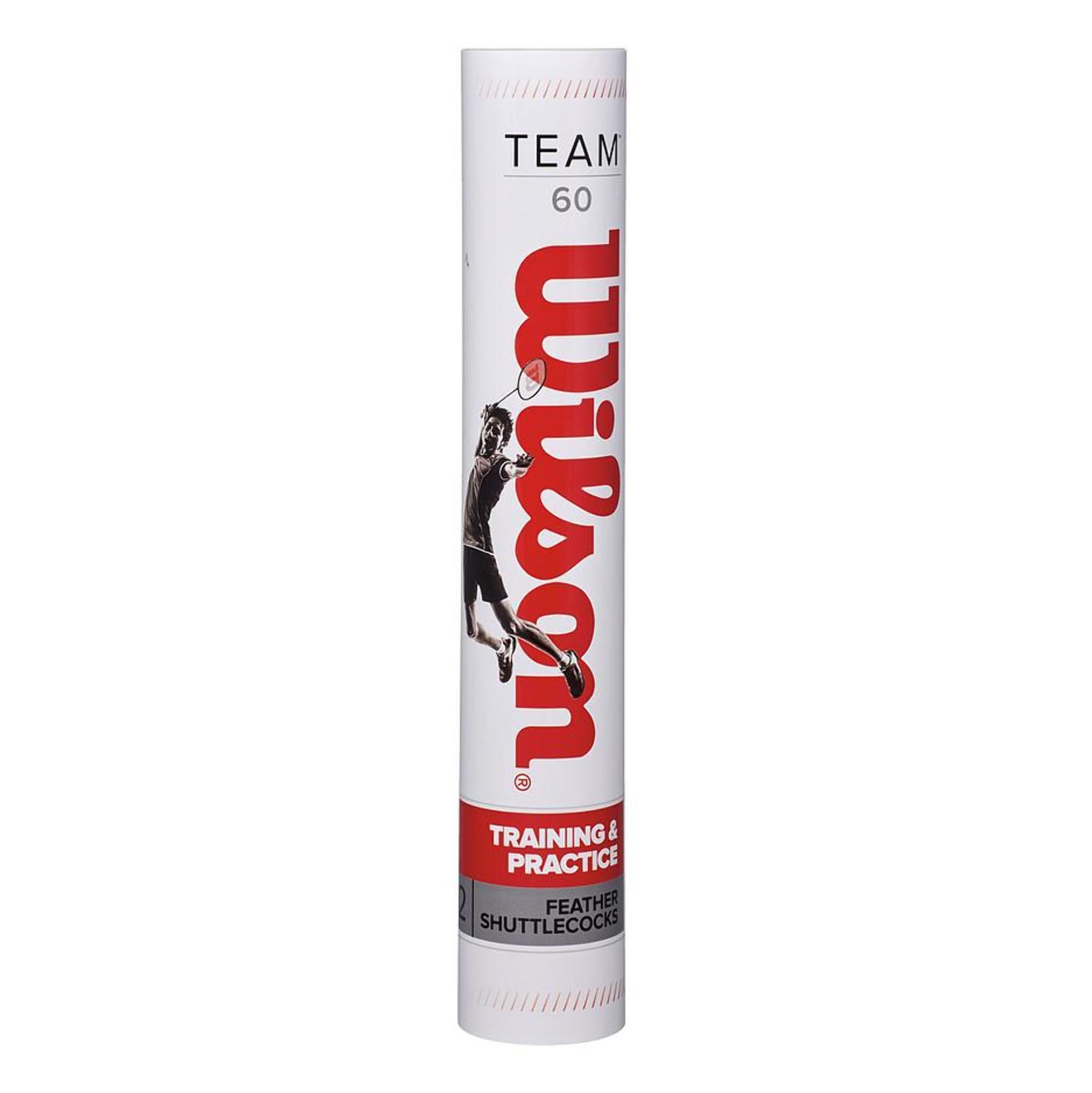 Wilson Team 60 Shuttle (Tube of 12)