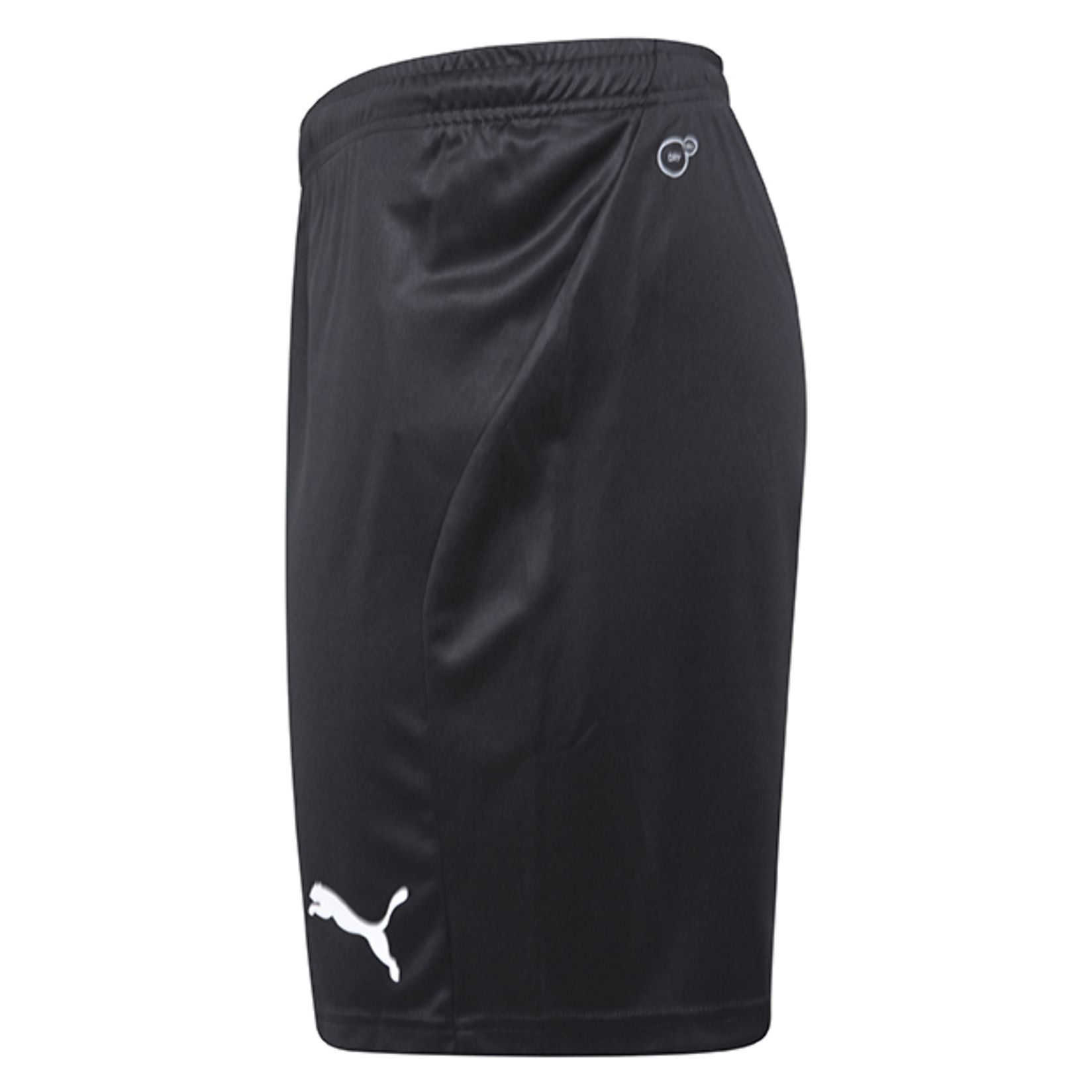 Puma Liga Core Shorts | Sportshorts