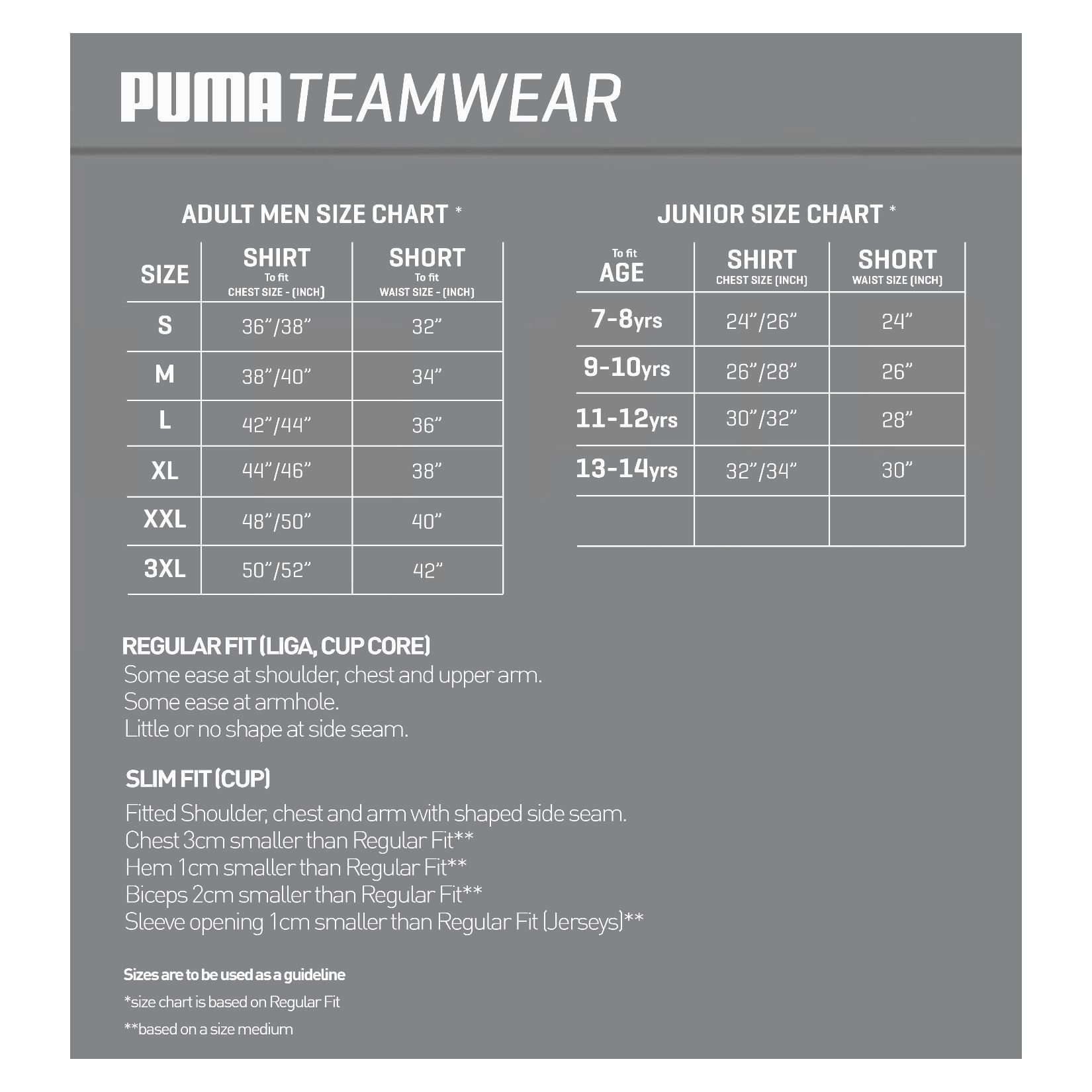 puma liga 40