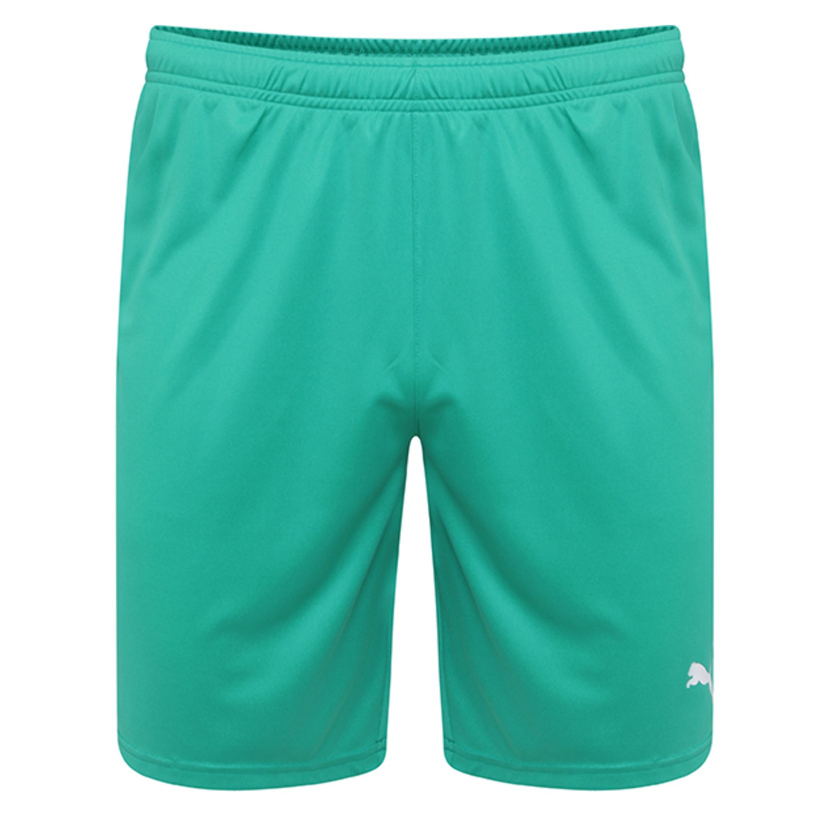 Puma Liga Core Shorts - Kitlocker.com