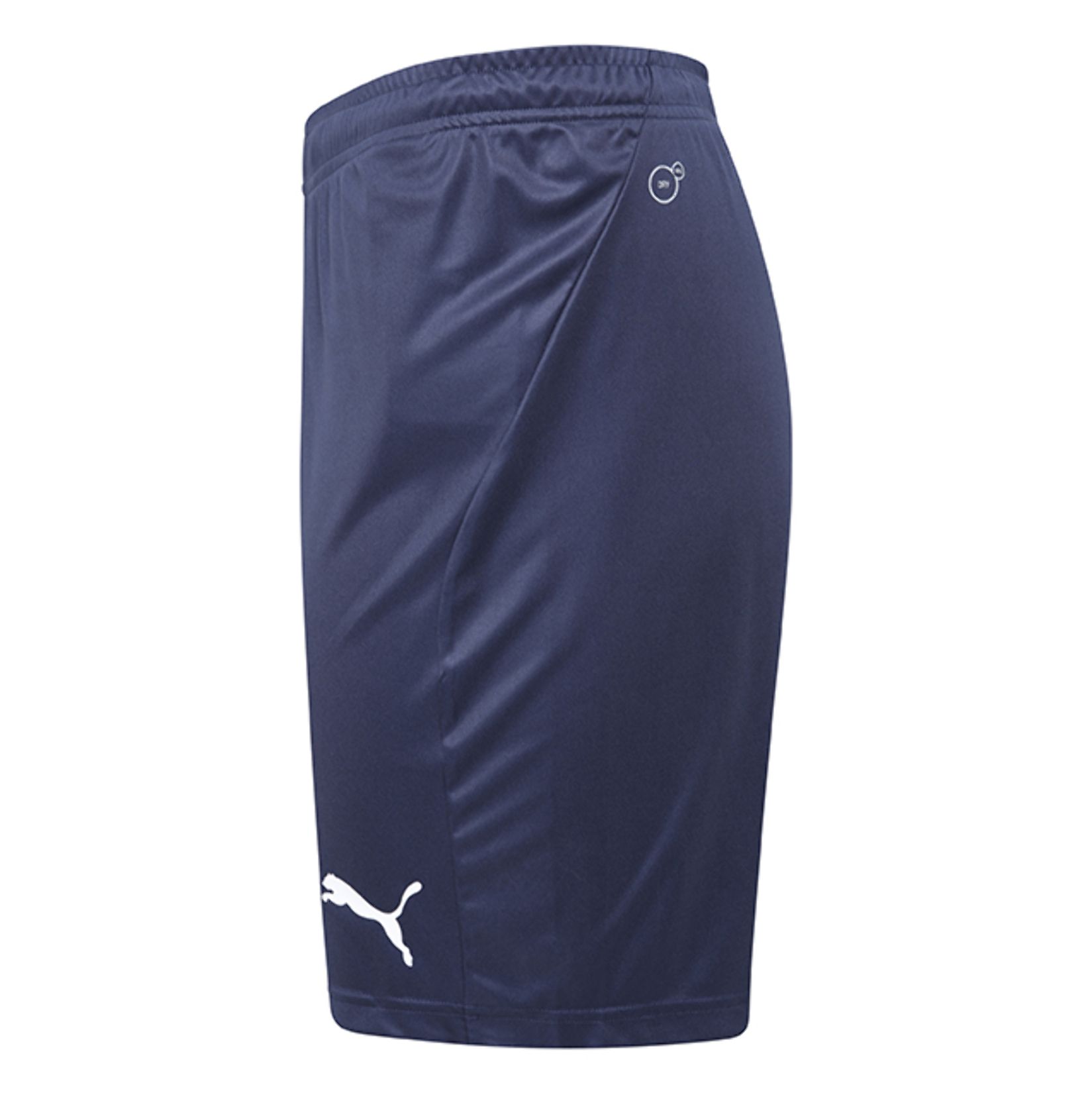 puma core run shorts